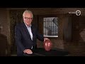 Schatgraven 26 augustus 2018