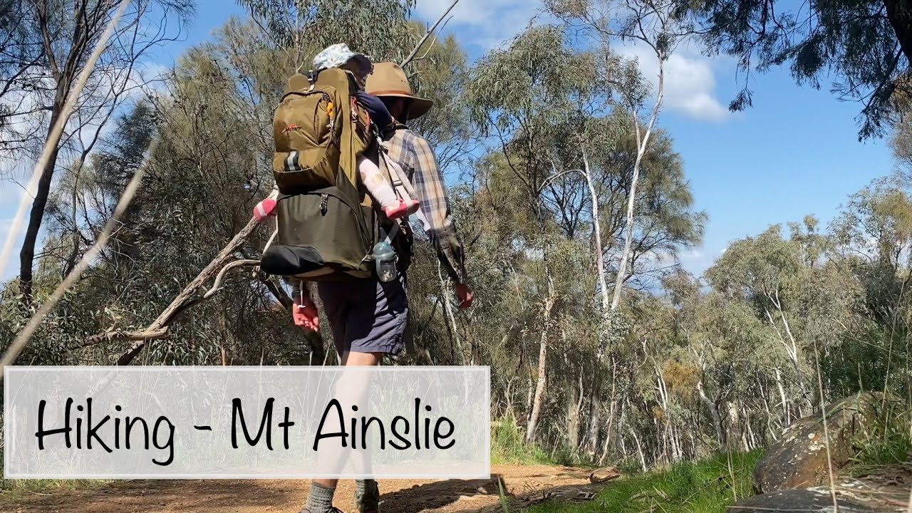 Did you know that over 90% of first-time walkers on Fraser Island fall in love with the wilderness within the first hour? 🌿 Here’s exactly how I did it…