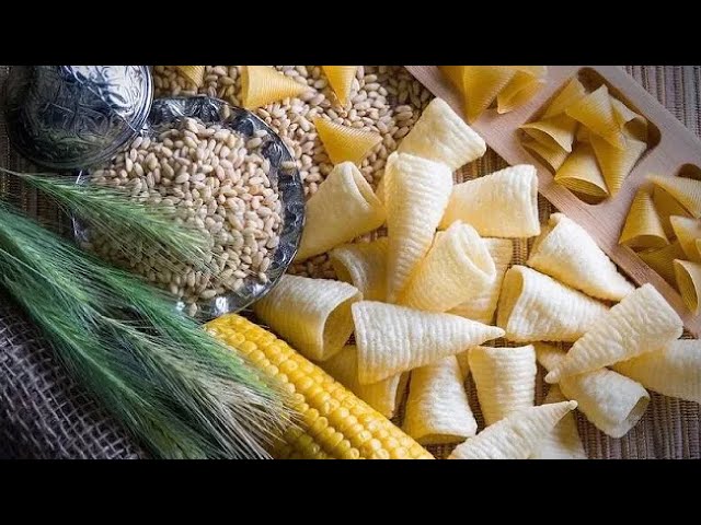 zirve extrusion | Le projet de fabrication de copeaux de palette, d'une capacité de production de 500 kg/h, de haricots automatiques, un modèle développé par l'anglais Coatandfry