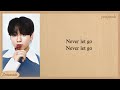 Jungkook Never Let Go Lyrics