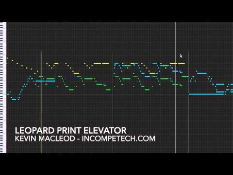 Leopard Print Elevator