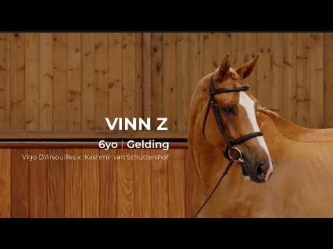 6. Vinn Z | Profile