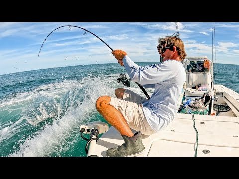 #1 GAME FISH IN THE WORLD! | What do you think?