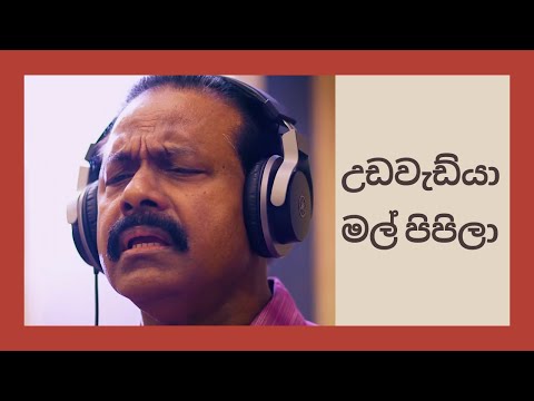 Dr. Ananda Perera - උඩවැඩ්යා මල් පිපිලා | UDAWADIYA MAL PIPILA