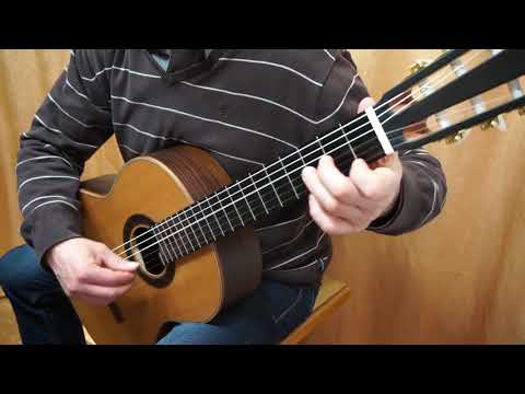 Walzer ( F. Carulli ) - Nr. 106 Gitarren Starter 1 - Cees Hartog