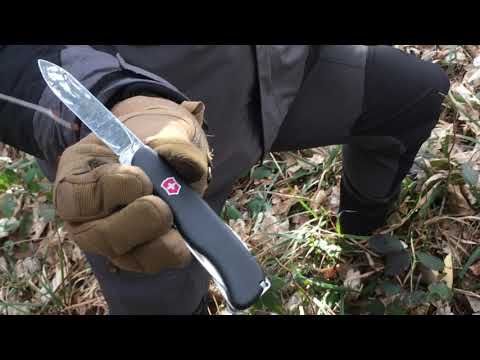 Victorinox Forester for survival