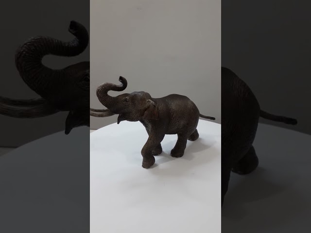 Vídeo relacionado con Schleich-14763 Figura de Cría de Elefante Africano, Colección Wild Life, Color Gris, 6.8 cm (14763)