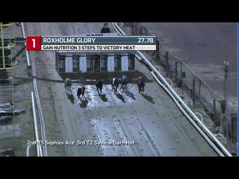 2020 GAIN THREE STEPS - HEAT 6 - T1 ROXHOLME GLORY