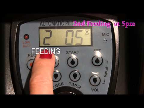 How to Program the CE Compass Large Automatic  Pet Feeder