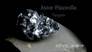 Download lagu Astor Piazzolla Tangata アストル・ピアソラ タンガータ mp3
