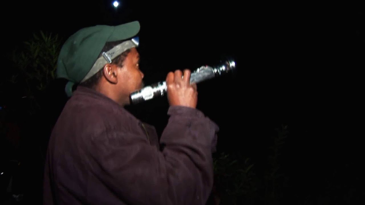 Madagaskar: Nachtwanderung Andasibe Reservat (0:56)