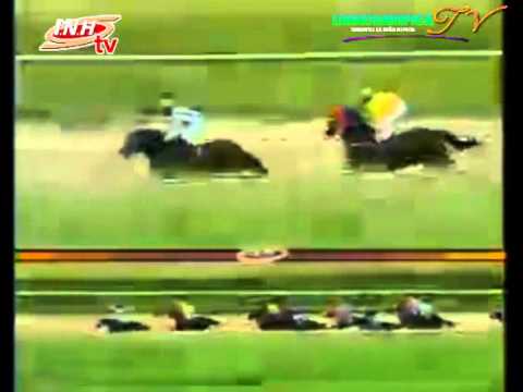 VALENCIA 6 CARRERA VIERNES 07 DE NOVIEMBRE DEL 2014