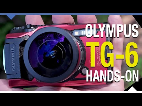 Best Waterproof Camera in 2021: Our Top 6 Splashproof Camera Picks