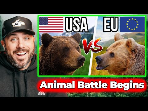 5 American vs 5 European Animals – Who Wins? 🐻 (american reacts)