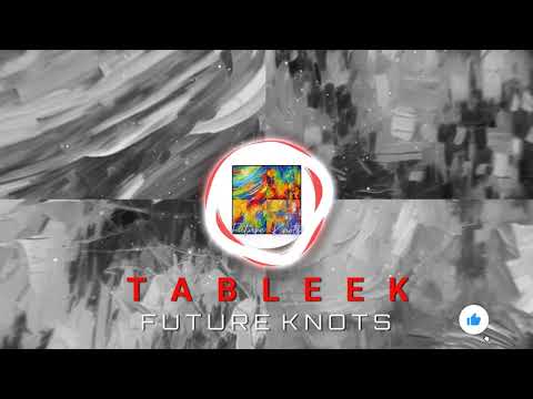 TABLEEK Future Knots (Lyric Video)