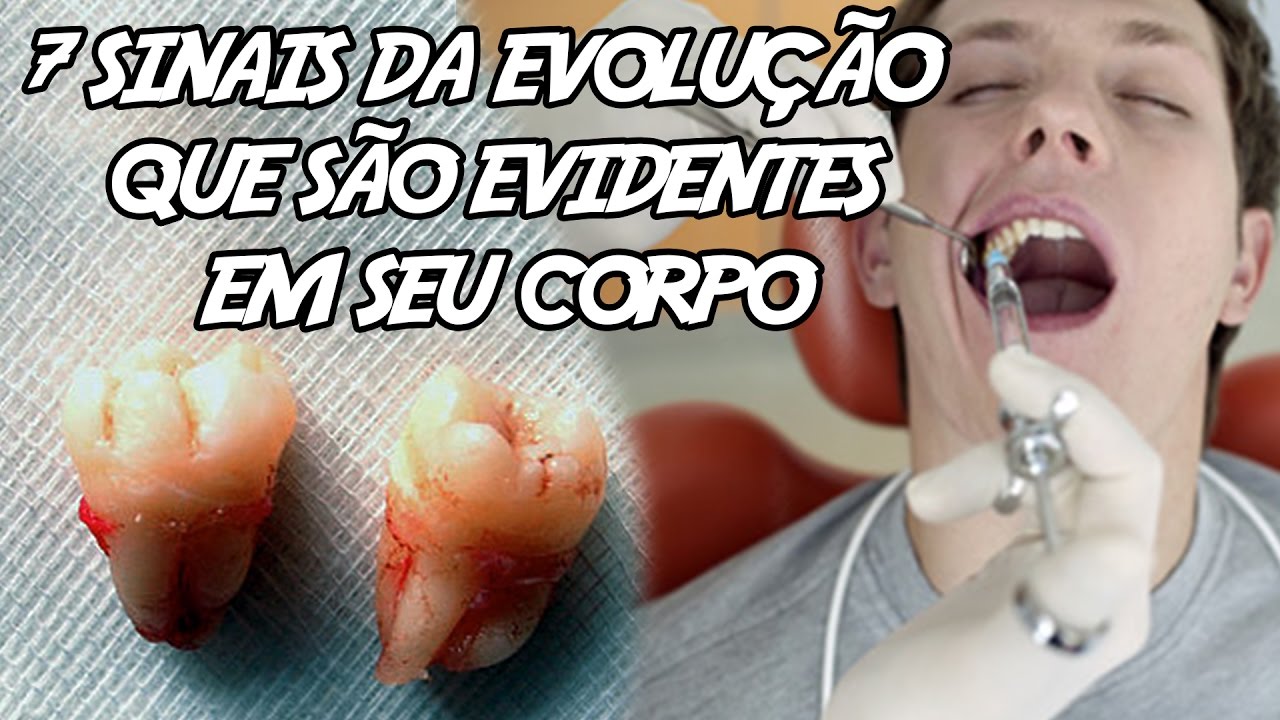 7 Sinais da Evolução que são evidentes em seu corpo