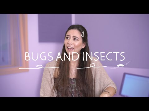 Learn The Most Useful Words in German