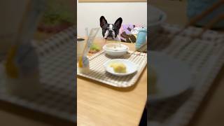 諦めの悪いフレブル