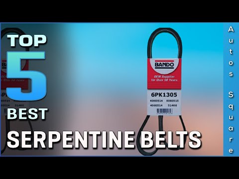 Top 5 Best Serpentine Belts Review in 2026