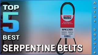 Top 5 Best Serpentine Belts Review in 2026
