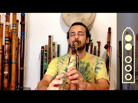 Flauta Nativa Improviso NAF Beija Flor E 432