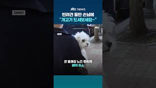 반려견 데려온 손님에 개고기 추천한 중국 호텔...누리꾼 분노 #JTBC #Shorts