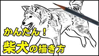 動物の描き方 リアルなライオンのイラストが誰でも簡単に上手くなる方法 Howtodrawlion موقع ويب حيث يمكنك مشاهدة مقاطع فيديو موسيقية مجانية