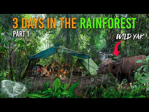 We Lived in a Rainforest for 3 Days - Then THIS Happened