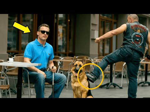 MOTOCICLISTA PRENDE A CALCI IL PASTORE TEDESCO DI UN UOMO CIECO PER SCHERZO, SENZA SAPERE CHE ...