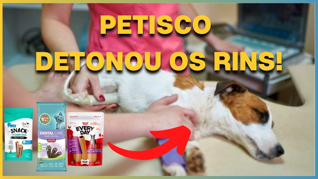 PETZ E BASSAR! ABSOLUTAMENTE TUDO QUE VOCÊ PRECISA SABER SOBRE OS PETISCOS QUE MATARAM OS CACHORROS!
