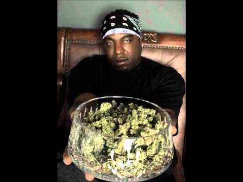 (CAUTION)PHAT MONC FT-SPICE 1,MAX N VINCI