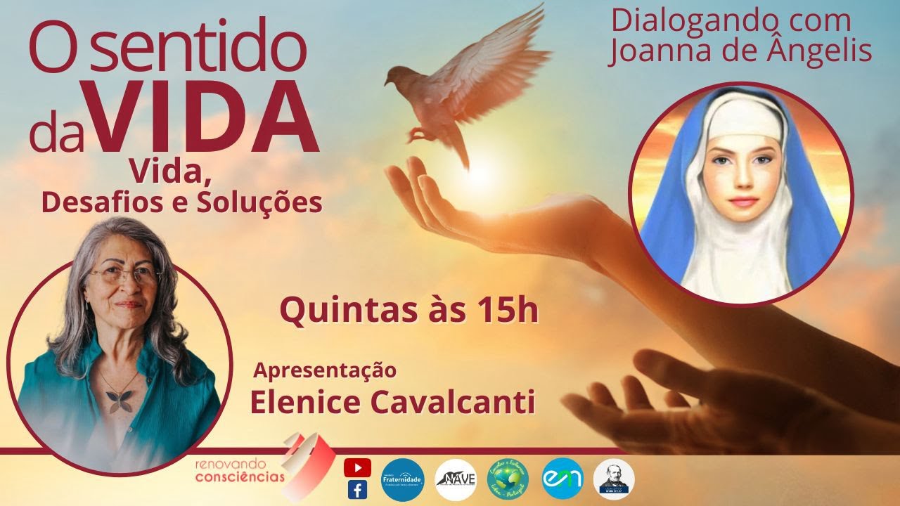 O SENTIDO DA VIDA | VIDA: DESAFIOS E SOLUÇÕES (Joanna de A. & Divaldo F.) | Elenice Cavalcanti