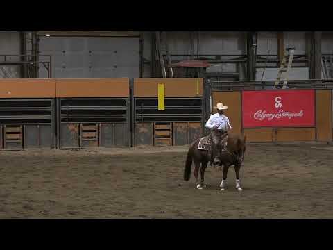 22WCD   39   OB   DRAW 7   DALE CLEARWATER riding DELUXE STRLIT NIGHT   HS2