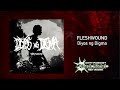 Fleshwound - Diyos Ng Digma (Single, 2022)