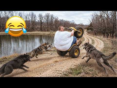 Try Not To Laugh 😂 Best Fails of The Week | Funny Fails Videos That Will Make You Cry Laughing #2