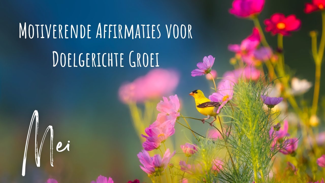 Mei: Maand van Ambitie en Realisatie - Motiverende Affirmaties voor Doelgerichte Groei