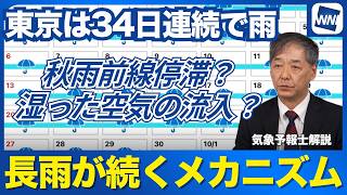 【東京 34日連続降水を観測】統計以来最長記録を更新　これほどの長雨が続く要因を気象予報士が解説