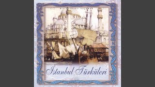 Bir Taş Attım Kamışa