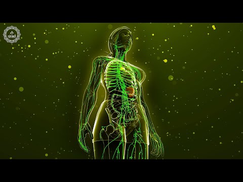 Lymphatic Drainage | Remove Waste & Toxins From The Body | Boost Immune System Overcome Inflammation