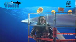 DIA 2 Expo Tiburon77