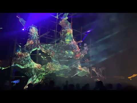 Frantic Noise Live Shankra Festival 2022