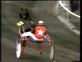 29 08 1989 Waregem JEAN BOUCAERT Amazing D Honte