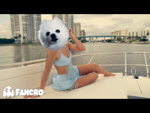 Shakira - Soltera (Cover Perro)