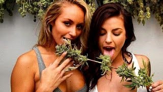 5 Facts About Weed