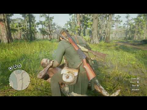 Red Dead Redemption 2 Night-Folk ambush during daylight?