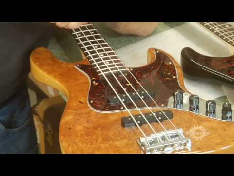 Larry DiMarzio's Conversation with Roger Sadowsky