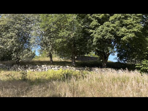 Hamneda kyrkoruin Småland