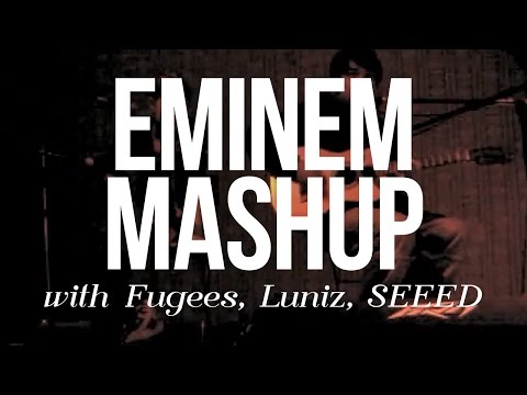Acoustic Cover : Eminem Fugees Seeed Fettes Brot Mashup (Joseh )