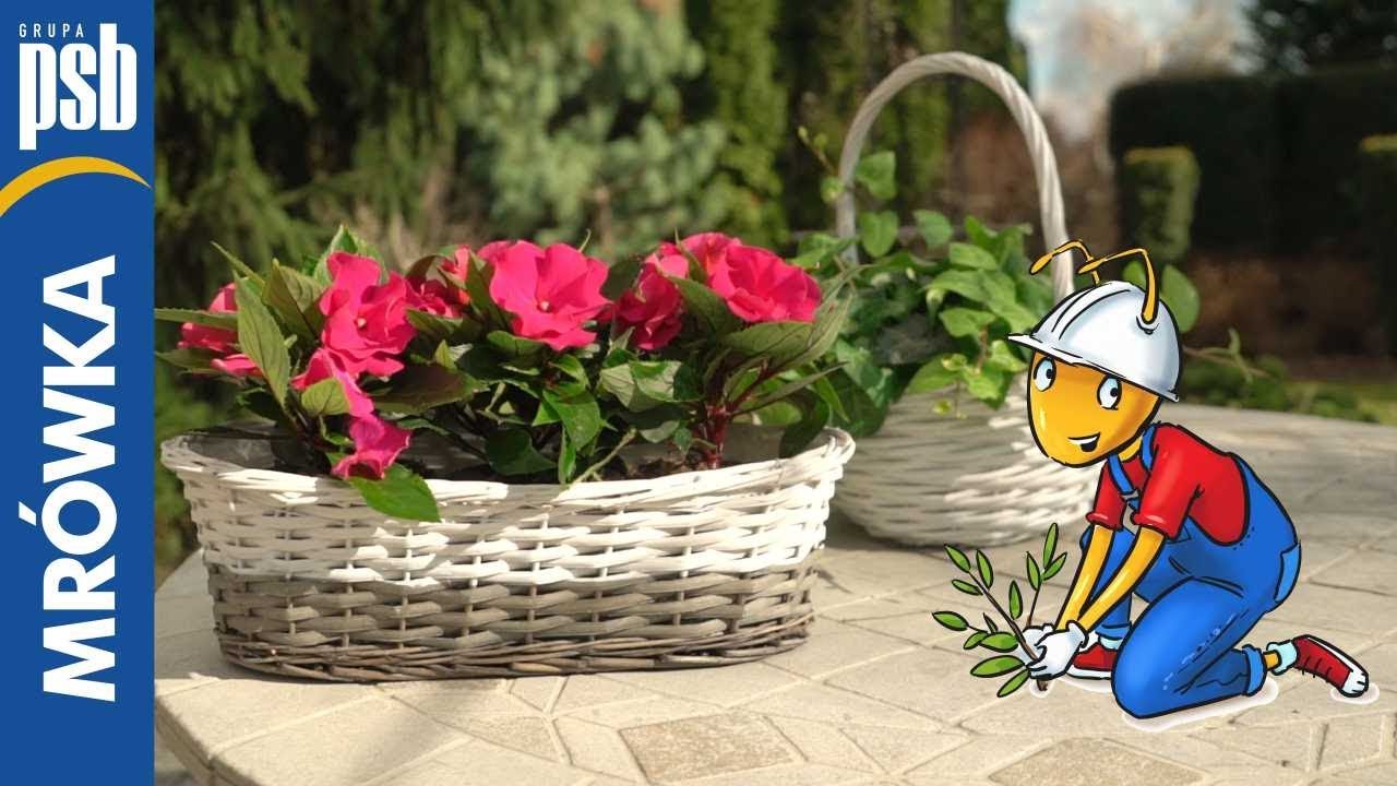 Kosze, koszyki i doniczki - nadszedł czas na sadzenie kwiatów