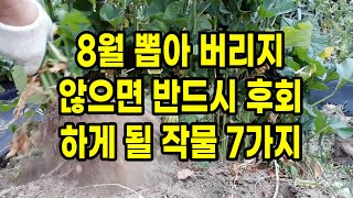 8월 뽑아 버리지 않으면 반드시 후회하게 될 작물 7가지